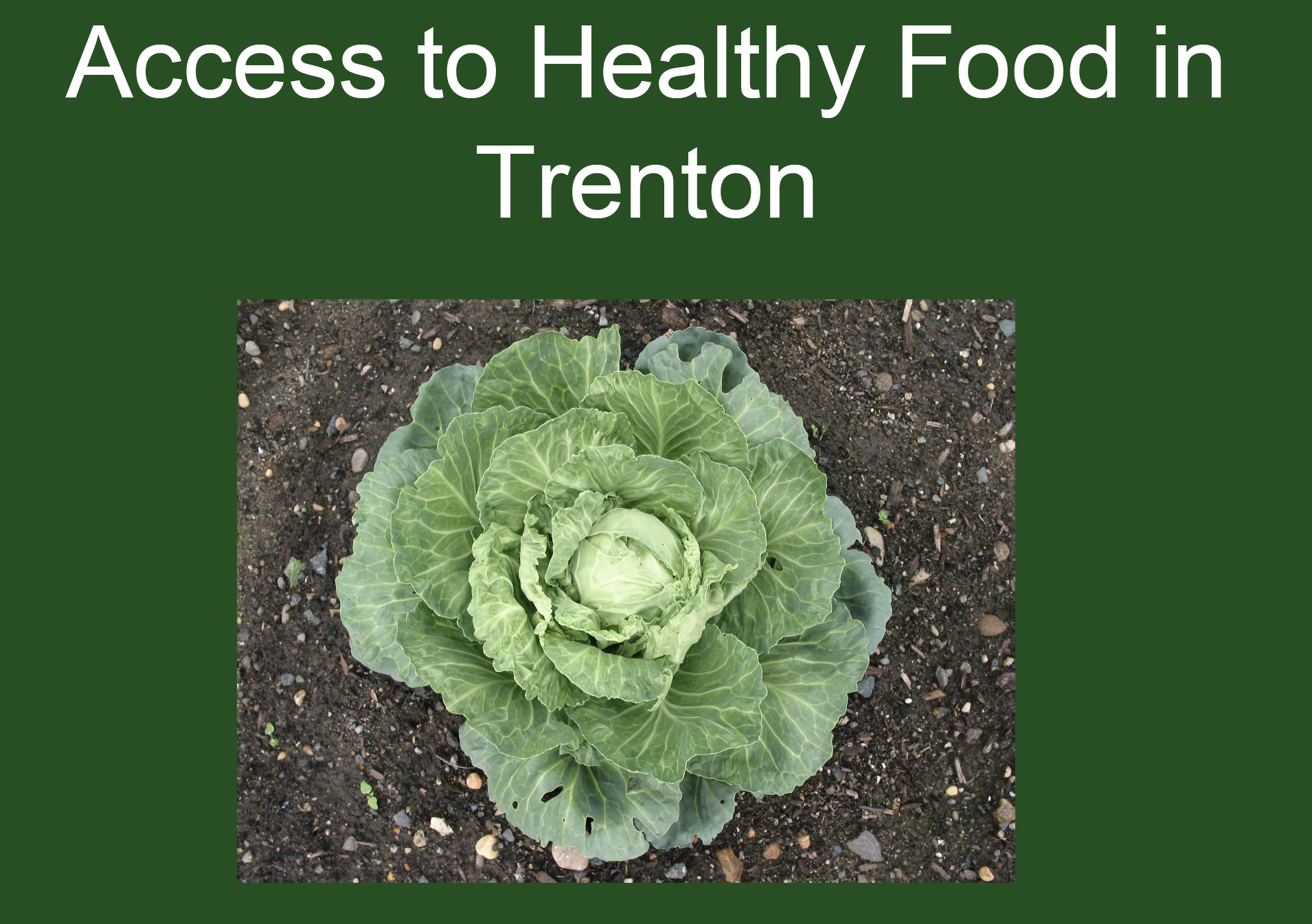 Access to Healthy Food in Trenton