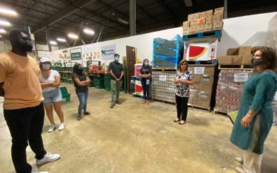 Applications for New RWV Public Service Fellowships