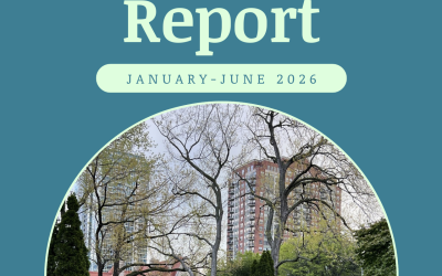 Biannual Report